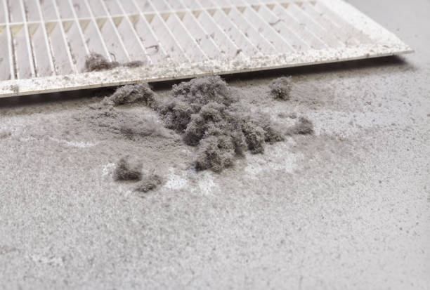 Best Local Air Duct Cleaning Services  in Petersburg, AK